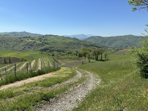 20 Ottobre 2024 - Il tempietto del Petrarca - Selvapiana