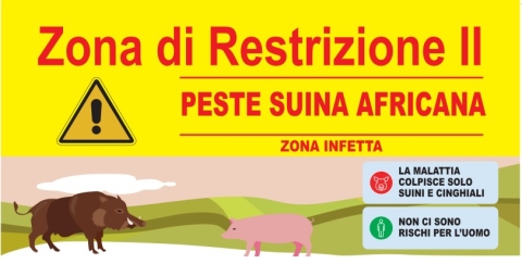 PESTE SUINA CONTINUA L'EMERGENZA: I COMUNI INTERESSATI