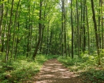 20 Settembre 2026 - Monte Molinatico (ANPI E GES)