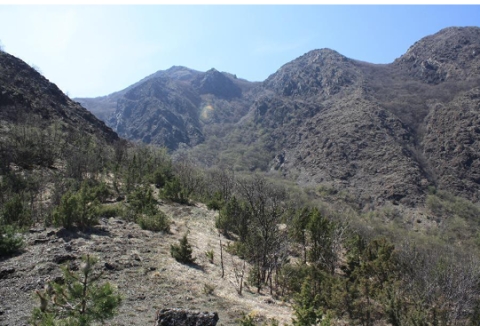 22 NOVEMBRE 2025 Appennino piacentino - Monte Mangiapane