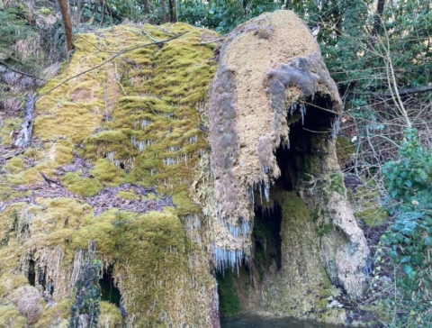 1 Febbraio 2025 - L'anello dei laghi di Casina