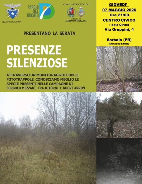 7 Maggio 2026 - Presenze Silenziose