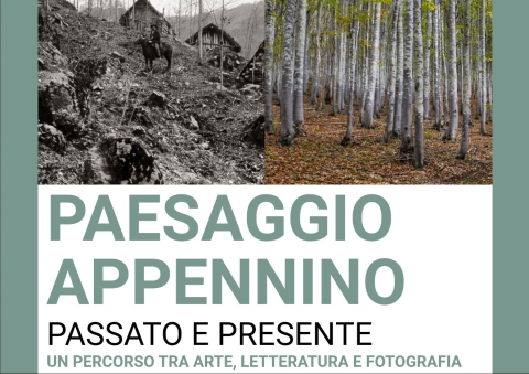 Mostra "Paesaggio Appennino" a Bedonia, dall'1 al 30 Agosto 2026