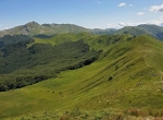 03 agosto 2024 Appennino Reggiano Monte Sillano