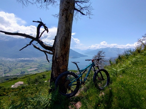 08 giugno 2024 - Gera - Lario (Lago di Como) in Mountain Bike - 24EMTB07