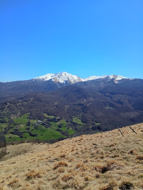 24 Maggio 2026 - Via di Linari - da Valcieca alle rovine dell’Abbazia di Linari