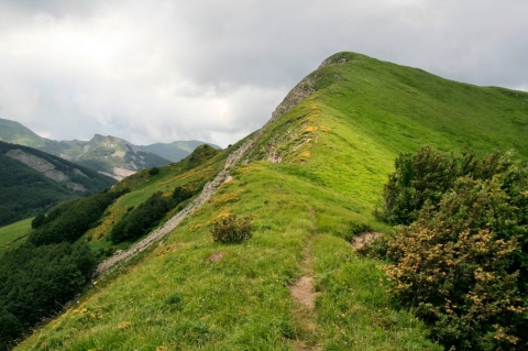 20 Settembre 2026 - Casarola-Monte Navert