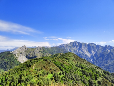 06 Aprile 2025 - La Linea Gotica Apuana - Monte Folgorito – Monte Carchio – Monte Focoraccia