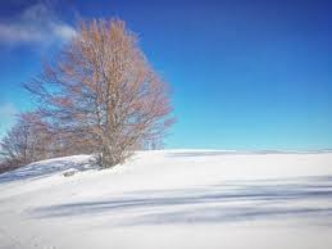 22 Febbraio 2026 - Ciaspolata al monte Tavola