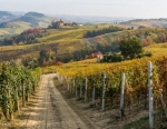 26-27 Ottobre 2024 - Foliage nelle Langhe ***Posti esauriti***