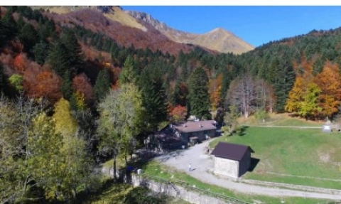 02 AGOSTO 2025 Appennino Reggiano: Abetina Reale