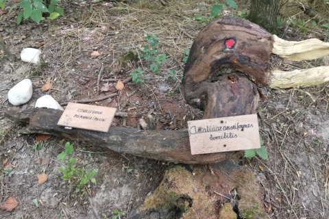 18 Aprile 2026 - CAI e FIAB per Help For Friends - Il Bosco di Nanà