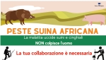 !! AGGIORNAMENTI !! Peste suina africana, fermiamola insieme!