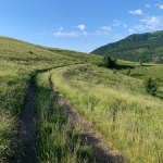 14 Settembre 2025 - Via Di Linari - Tappa da Ranzano a Valcieca
