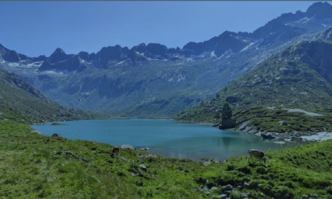 19 Luglio 2025 - Parco Adamello, Val Salarno, Rifugio Prudenzini
