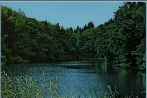 6 Gennaio 2026 - 14° Trekking Mario Dieci a Sala Baganza