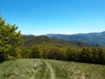 10 Maggio 2026 - Family - Il Giro del Monte Molinatico