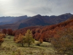 18 Ottobre 2026 - MTB - Bosco e Funghi